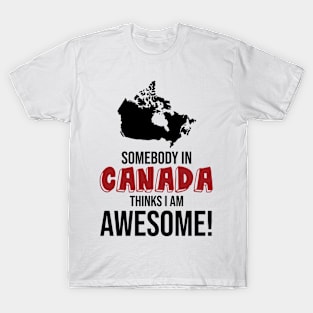 Somebody in Canada Thinks I Am Awesome T-Shirt